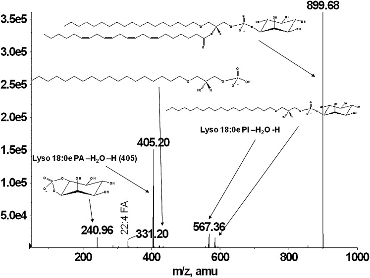 Fig. 4.