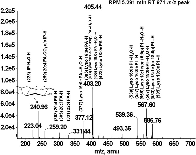 Fig. 3.