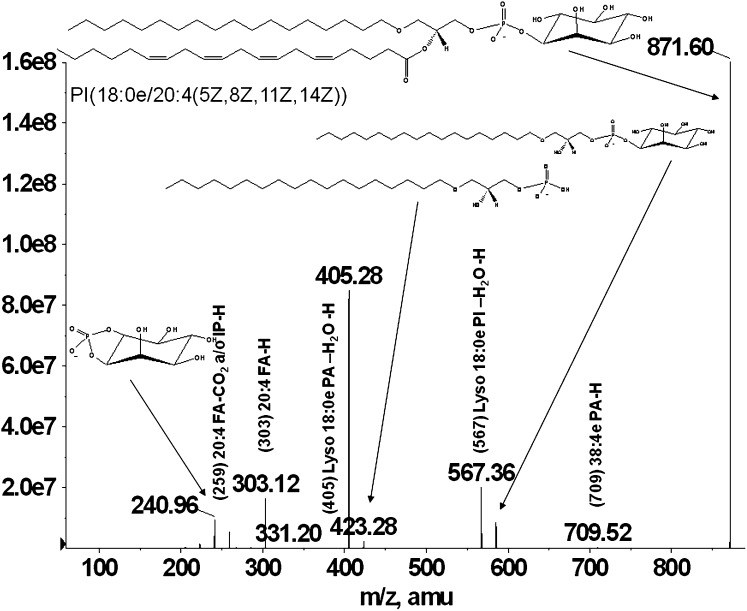 Fig. 2.