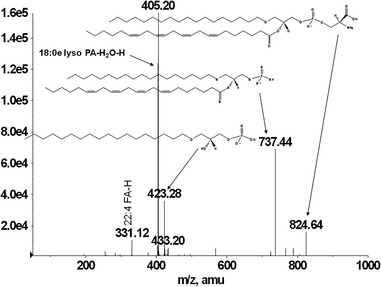 Fig. 6.