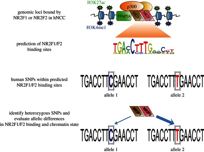 Figure 2.