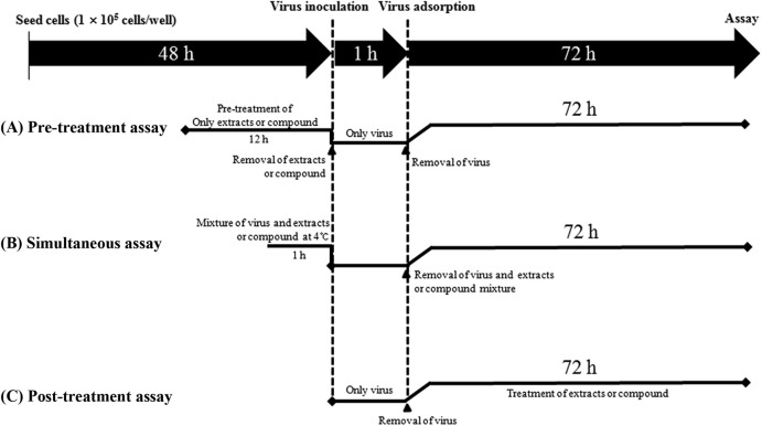 Fig. 2