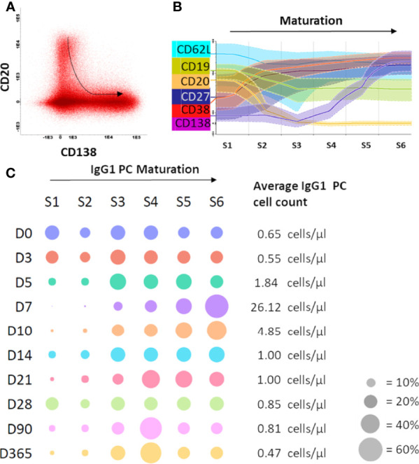 Figure 4