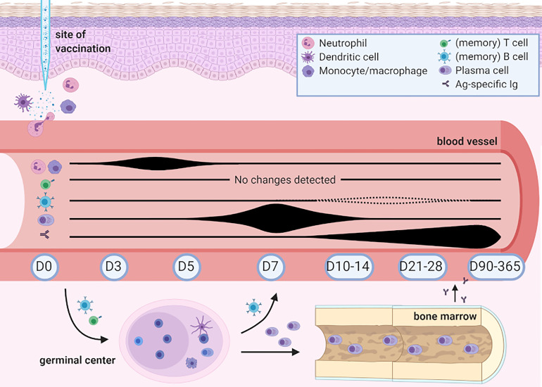 Figure 6