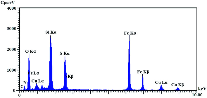 Fig. 5