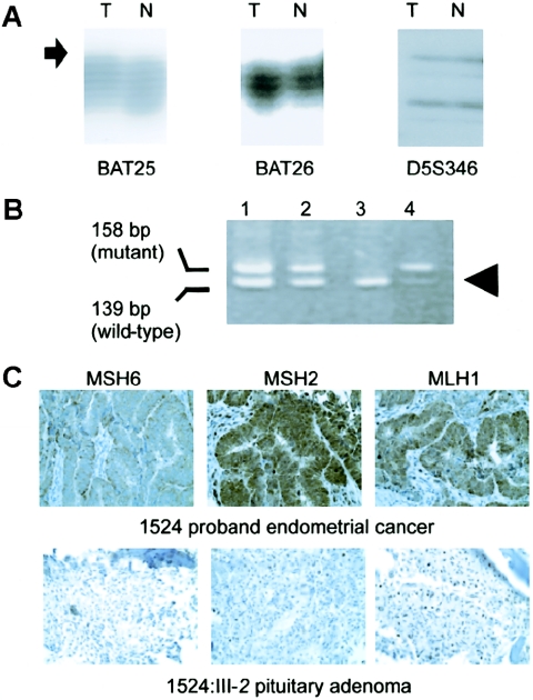 Figure  2