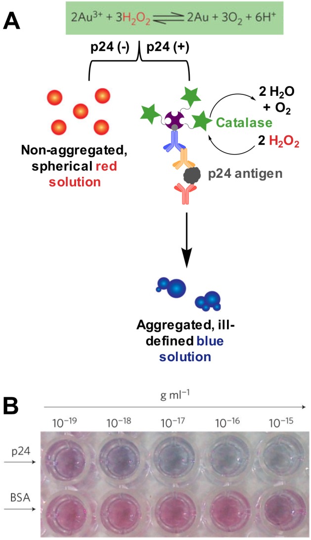 Figure 29