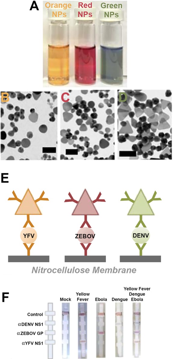 Figure 20