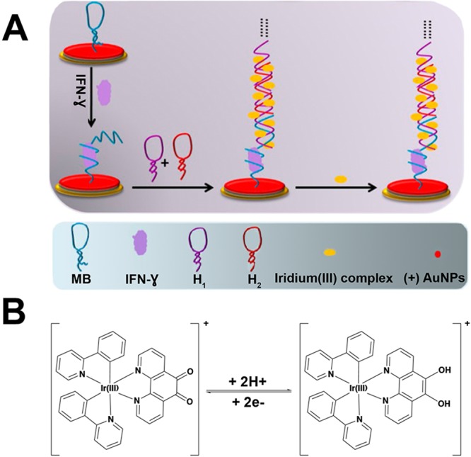 Figure 14