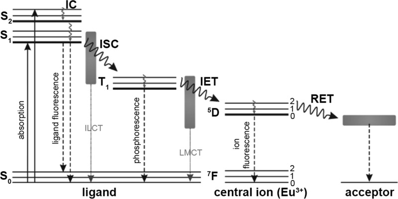 Figure 24