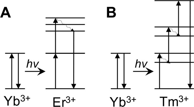 Figure 25