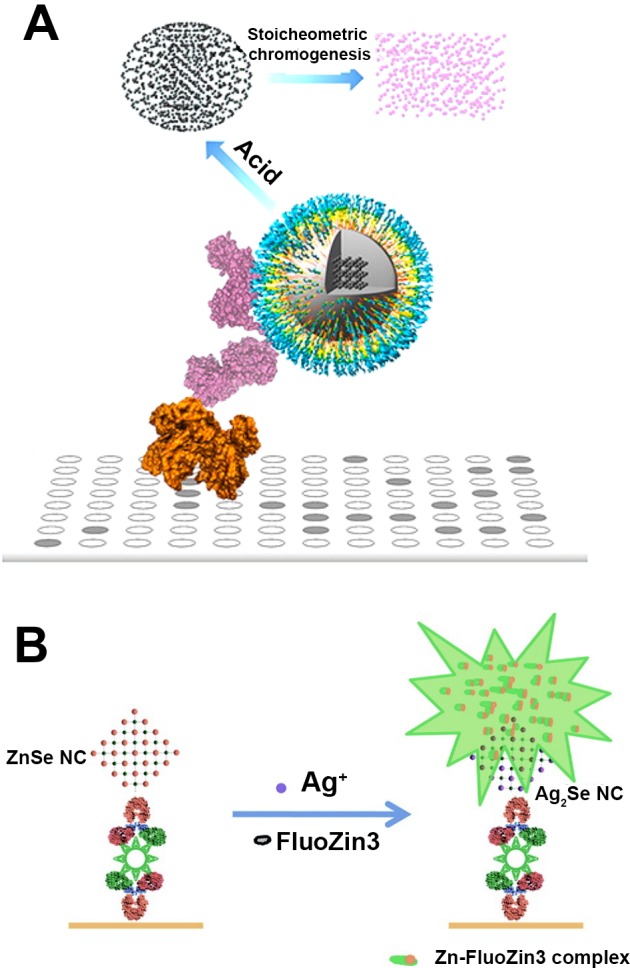 Figure 30