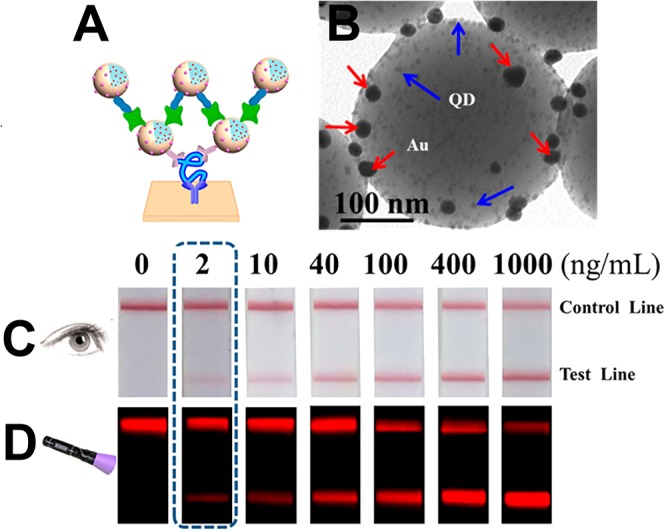 Figure 23