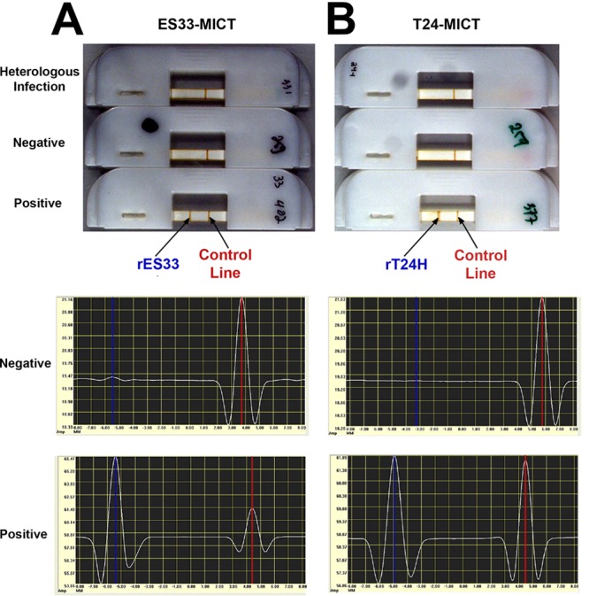 Figure 27