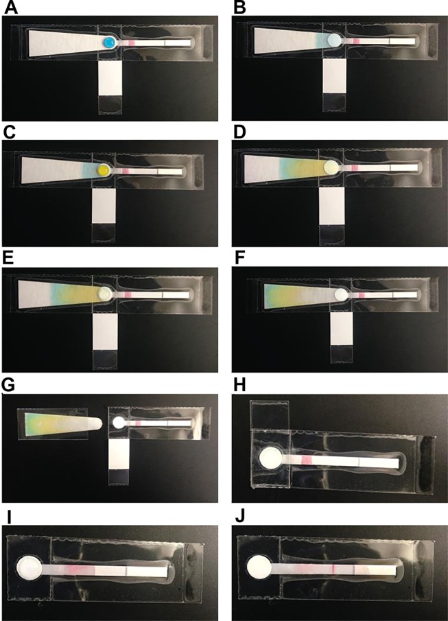 Figure 39