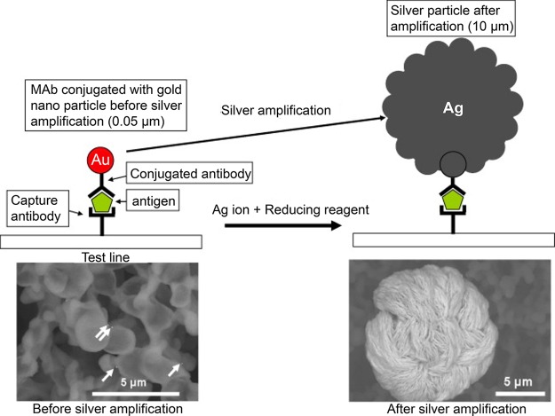 Figure 32