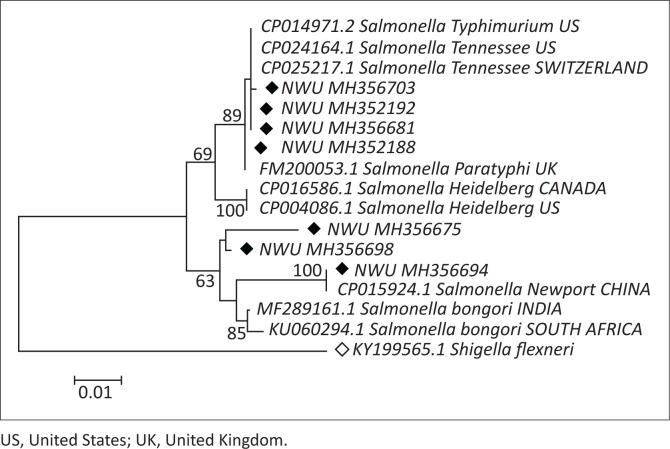 FIGURE 2