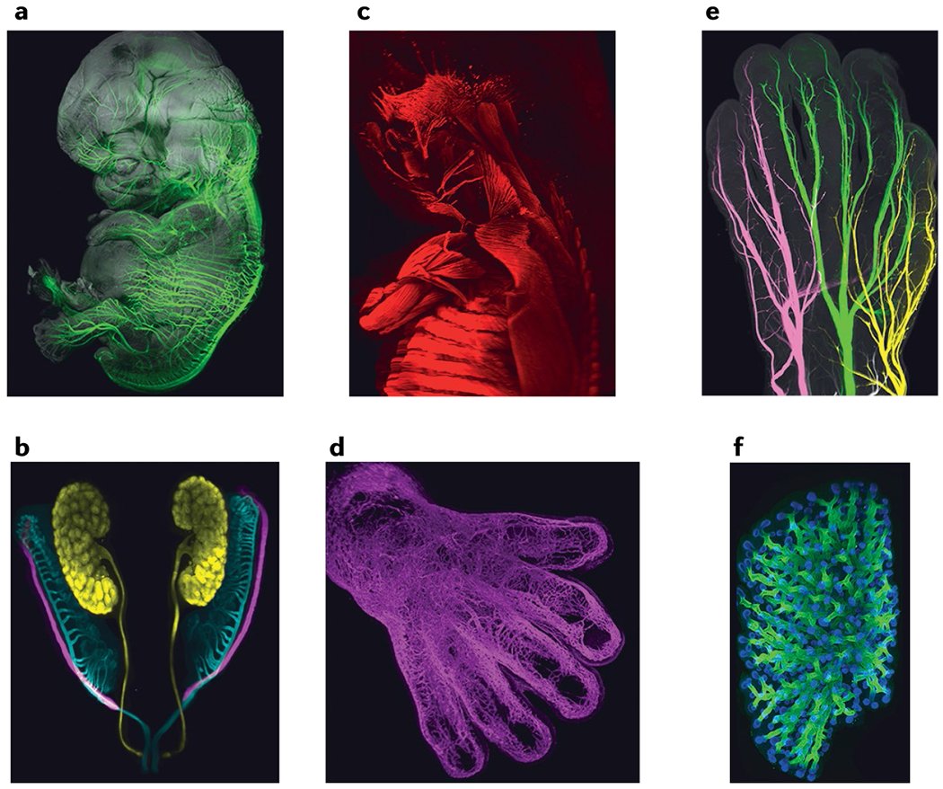 Fig. 4 |