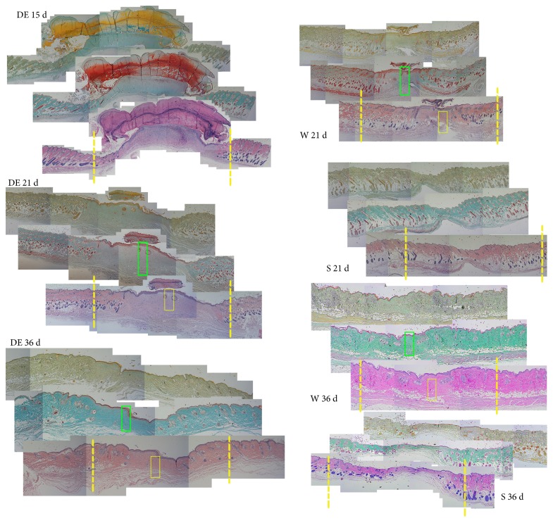 Figure 5