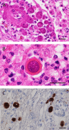 Fig 5