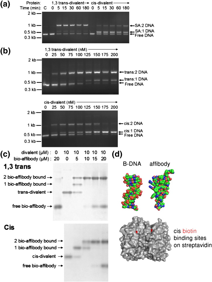 Fig. 7