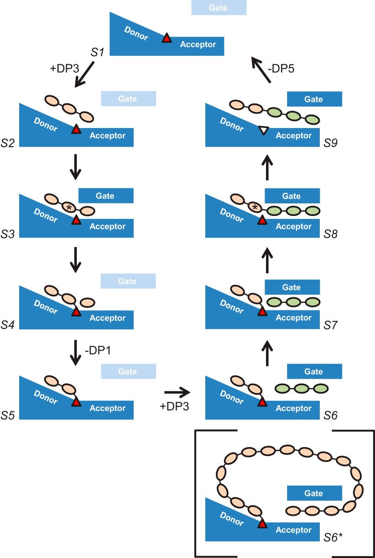 FIGURE 11.