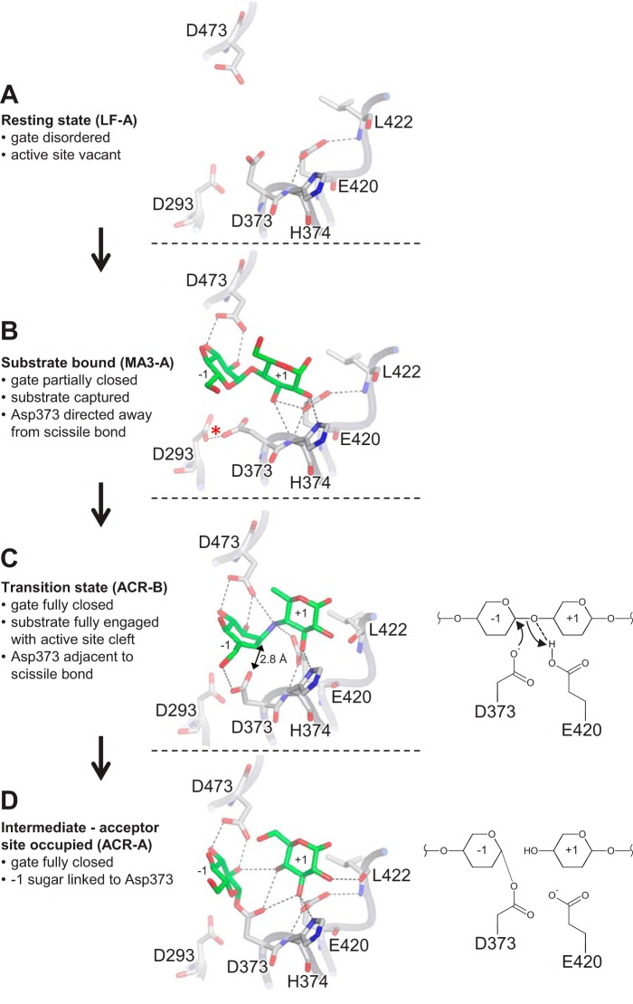 FIGURE 10.