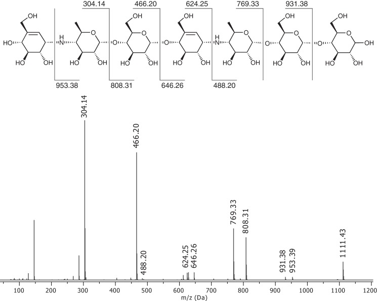 FIGURE 2.