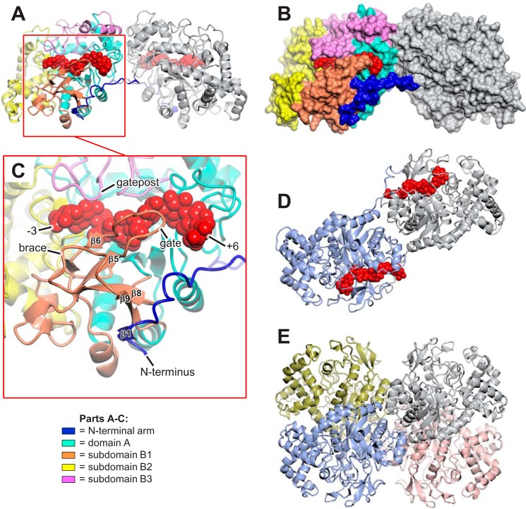 FIGURE 3.