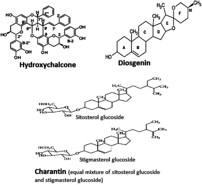 FIGURE 1