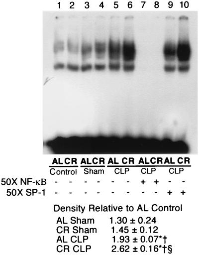 FIG. 6