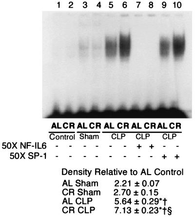 FIG. 7