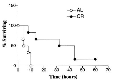 FIG. 10