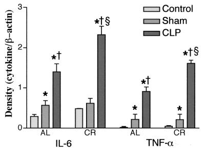 FIG. 8