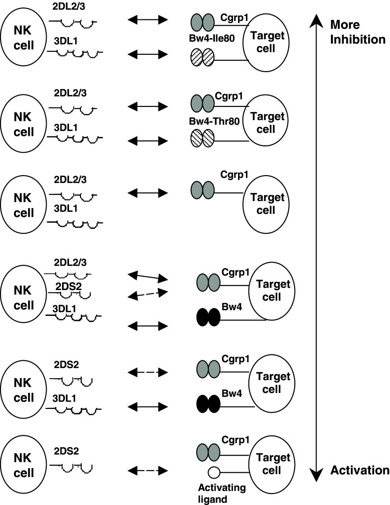 Fig. 3