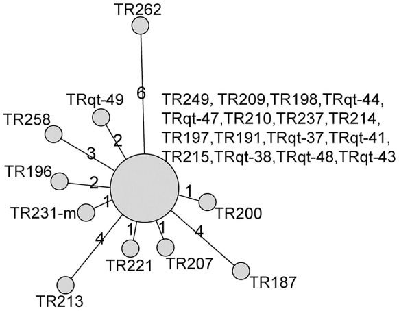 Figure 5