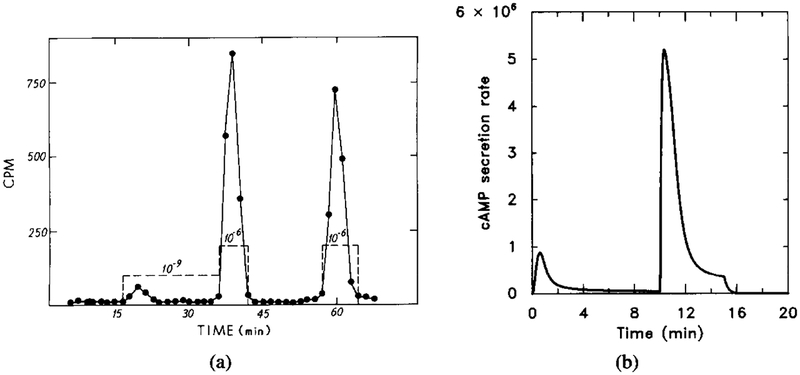 FIG. 12.