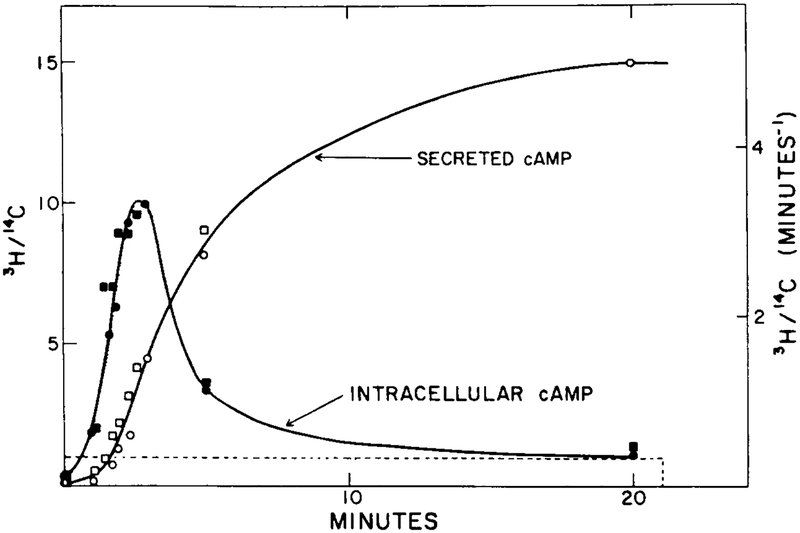 FIG. 7.