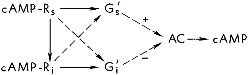 FIG. 2.