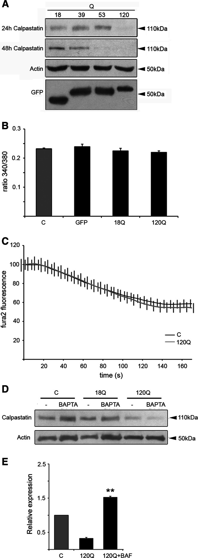 Fig. 7