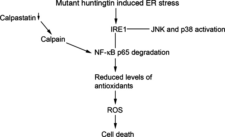 Fig. 9