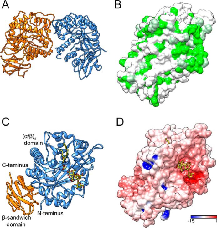 FIGURE 3.