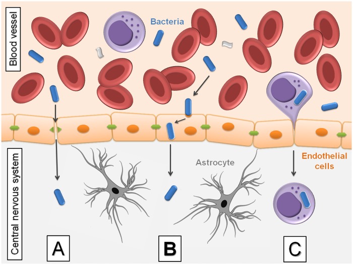 Fig 4