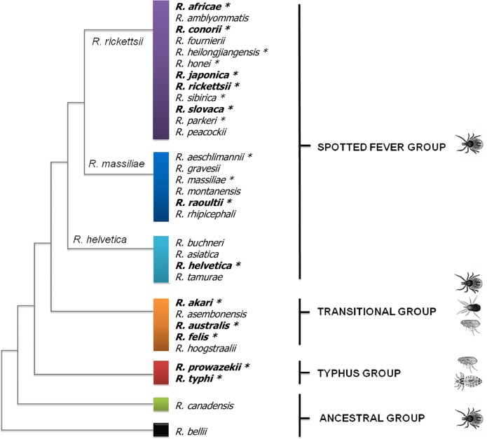 Fig 1