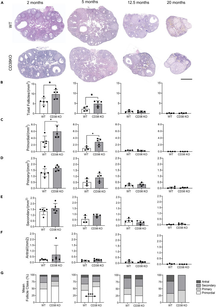 Figure 4