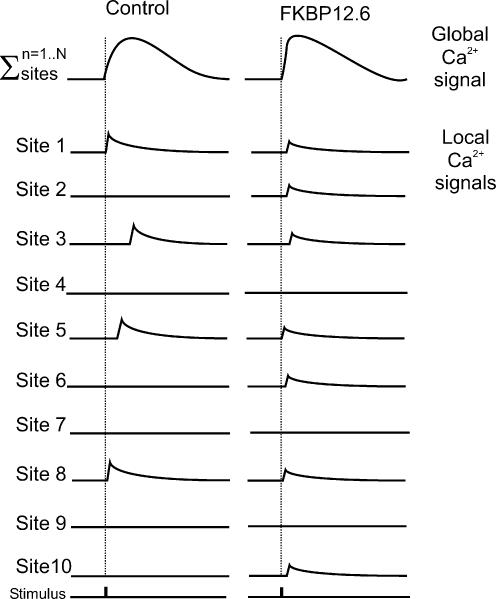 Figure 8