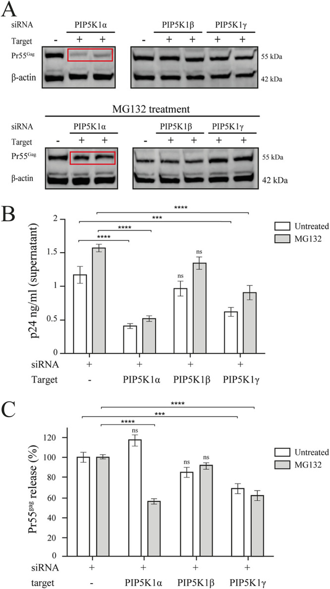 FIG 5