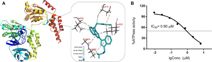 Figure 2