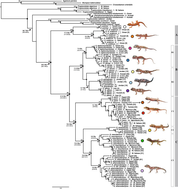 Figure 2