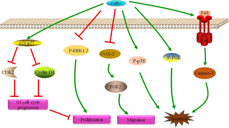 Fig. 7